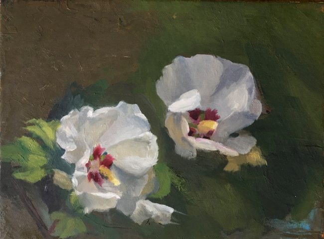Hibiscus Syriacus – Oil on Panel, 15x10cm, 2020