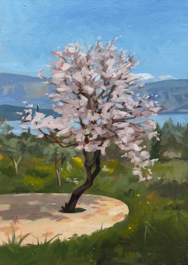 Almond Tree Blossoms – Oil on Panel, 21.5x30cm, 2022