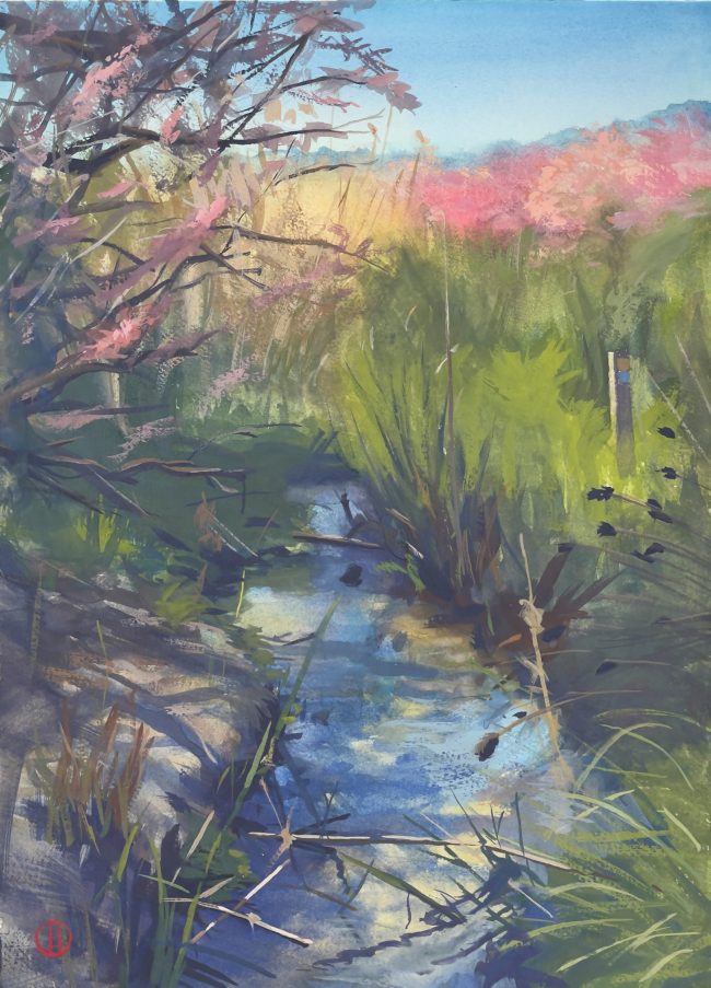 20220412-Nature-Reserve-Loutsa-IMG_7604