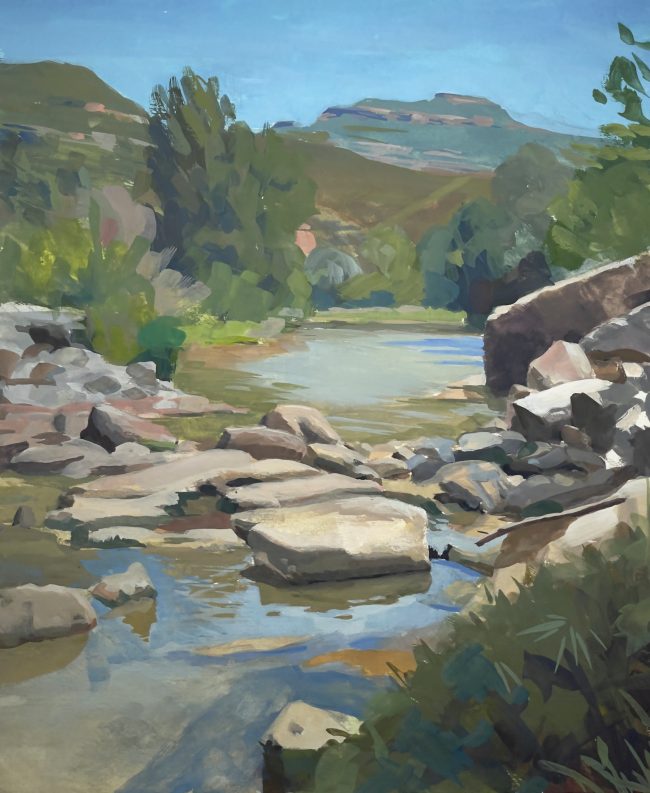 20220515-El-Llobregat-River-in-Monistrol-de-Montserrat-IMG_8099